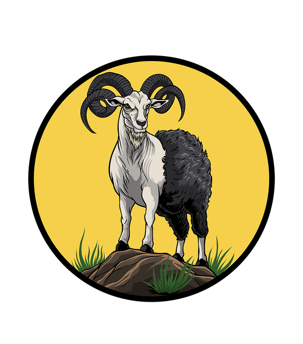 BlackSheep2Goat